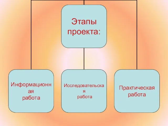 Этапы проекта: