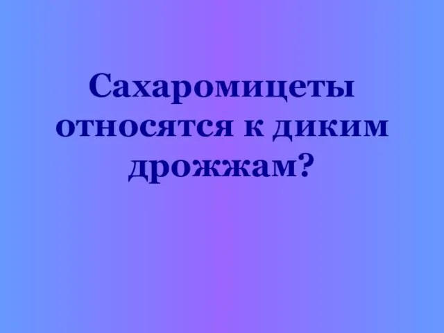 Сахаромицеты относятся к диким дрожжам?