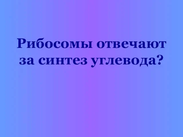 Рибосомы отвечают за синтез углевода?