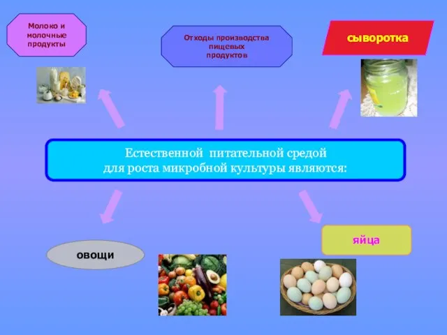 Естественной питательной средой для роста микробной культуры являются: Молоко и молочные продукты