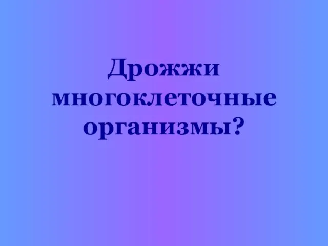 Дрожжи многоклеточные организмы?