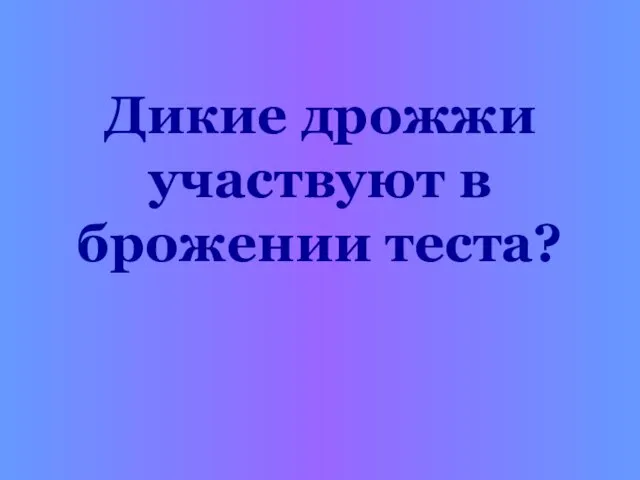 Дикие дрожжи участвуют в брожении теста?