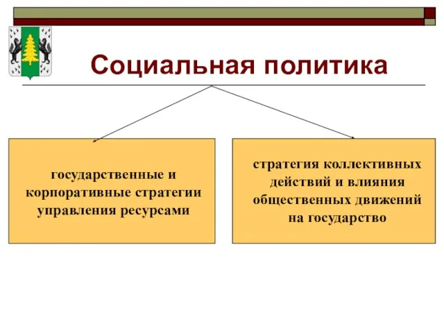 Социальная политика государственные и корпоративные стратегии управления ресурсами стратегия коллективных действий и