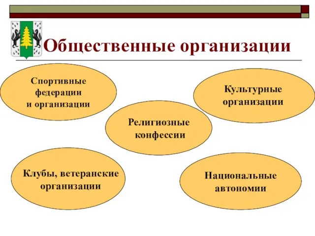 Общественные организации Спортивные федерации и организации Культурные организации Клубы, ветеранские организации Национальные автономии Религиозные конфессии