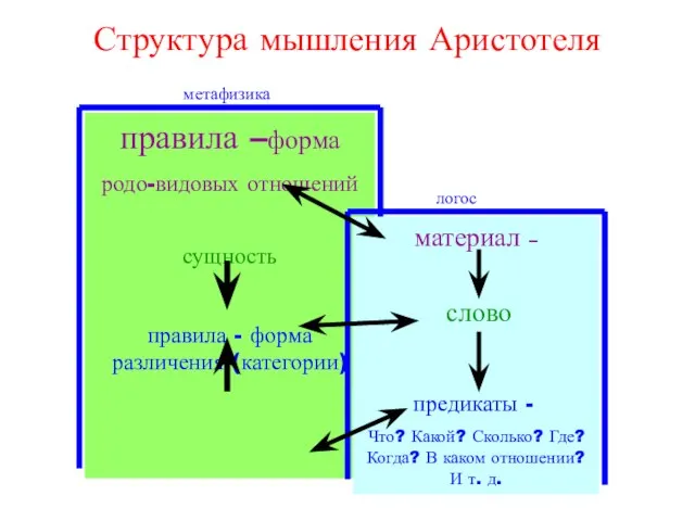 Структура мышления Аристотеля