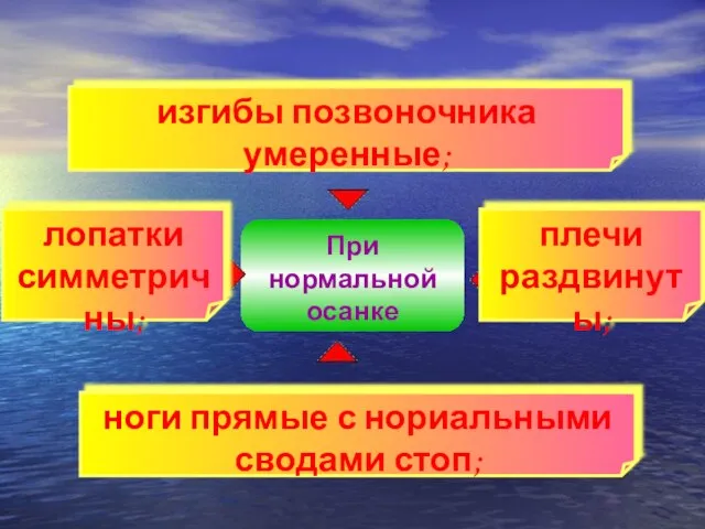 При нормальной осанке ноги прямые с нориальными сводами стоп; изгибы позвоночника умеренные; плечи раздвинуты; лопатки симметричны;