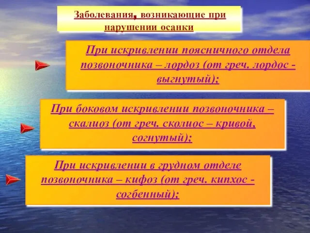 При искривлении в грудном отделе позвоночника – кифоз (от греч. кипхос -