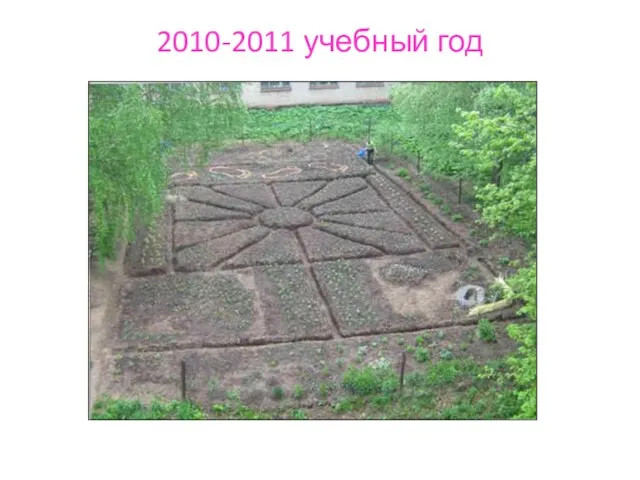 2010-2011 учебный год