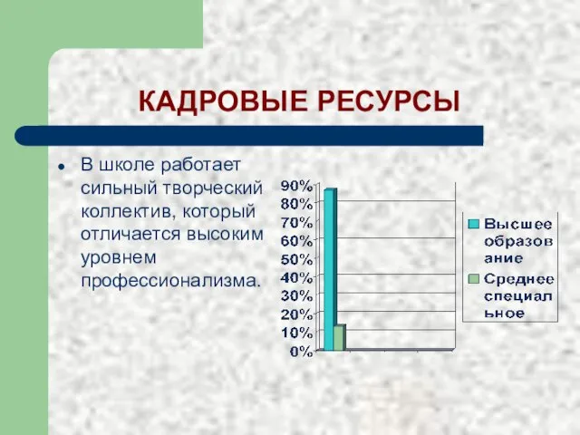 КАДРОВЫЕ РЕСУРСЫ В школе работает сильный творческий коллектив, который отличается высоким уровнем профессионализма.