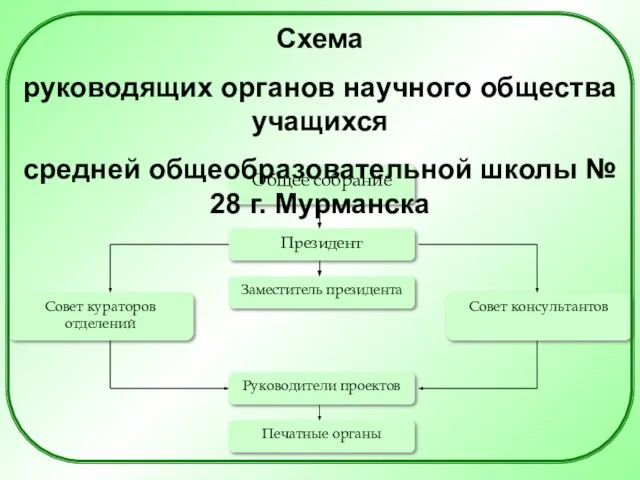 Схема руководящих органов научного общества учащихся средней общеобразовательной школы № 28 г. Мурманска