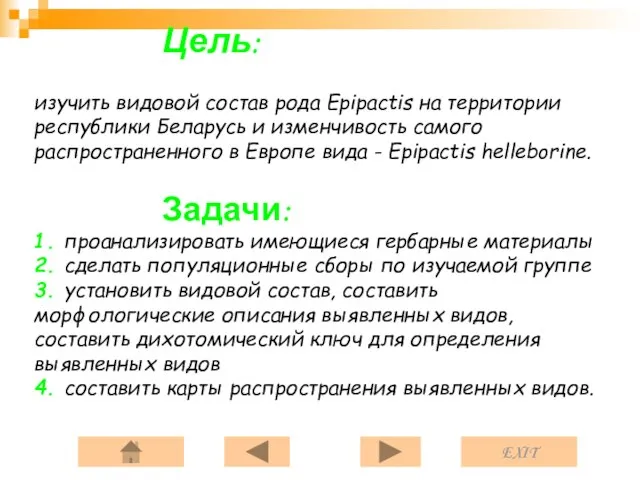 Цель: изучить видовой состав рода Epipactis на территории республики Беларусь и изменчивость