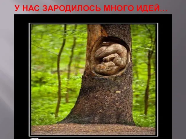 У НАС ЗАРОДИЛОСЬ МНОГО ИДЕЙ…