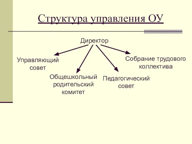 Структура управления ОУ Директор Собрание трудового коллектива Педагогический совет Общешкольный родительский комитет Управляющий совет