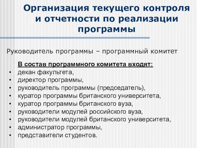 Организация текущего контроля и отчетности по реализации программы Руководитель программы – программный