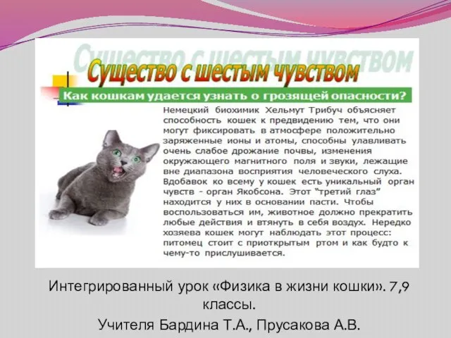 Интегрированный урок «Физика в жизни кошки». 7,9 классы. Учителя Бардина Т.А., Прусакова А.В.