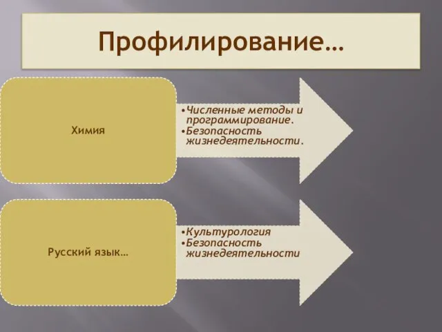 Профилирование… Химия Численные методы и программирование. Безопасность жизнедеятельности. Русский язык… Культурология Безопасность жизнедеятельности