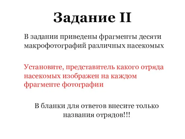 Задание II В задании приведены фрагменты десяти макрофотографий различных насекомых Установите, представитель