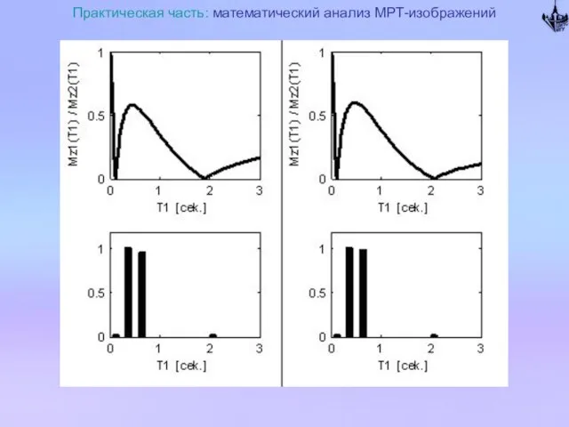 Практическая часть: математический анализ МРТ-изображений