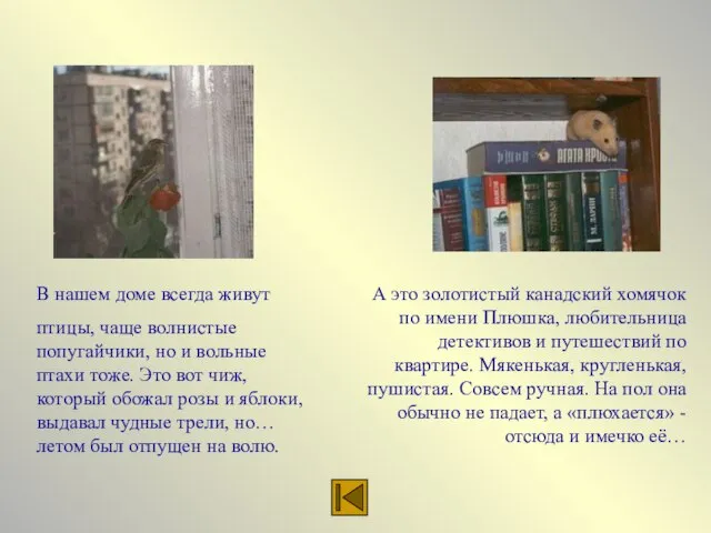 В нашем доме всегда живут птицы, чаще волнистые попугайчики, но и вольные