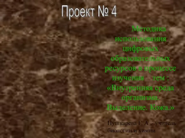 Проект № 4 Методика использования цифровых образовательных ресурсов в процессе изучения тем