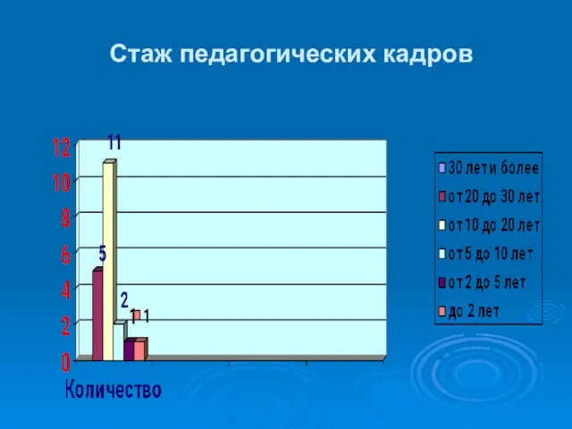 Стаж педагогических кадров