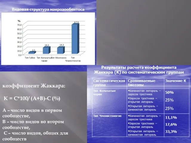 коэффициент Жаккара: К = С*100/ (А+В)-С (%) А – число видов в