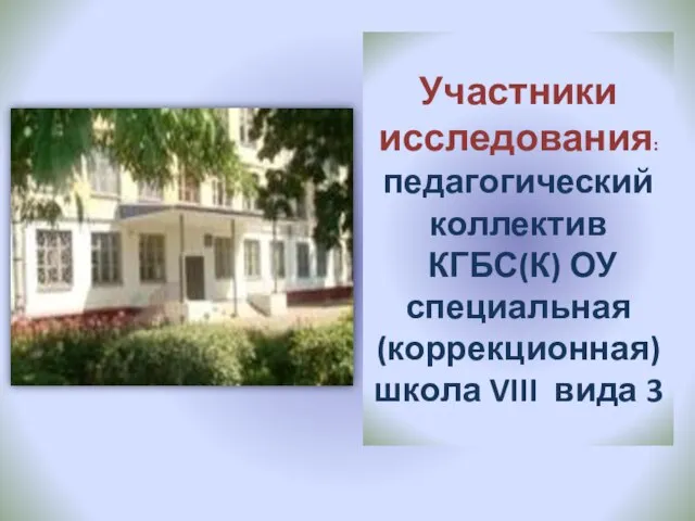 Участники исследования: педагогический коллектив КГБС(К) ОУ специальная (коррекционная) школа VIII вида 3