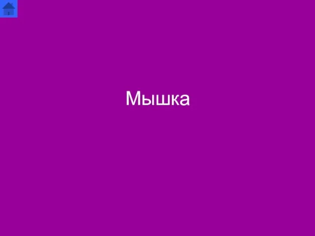 Мышка