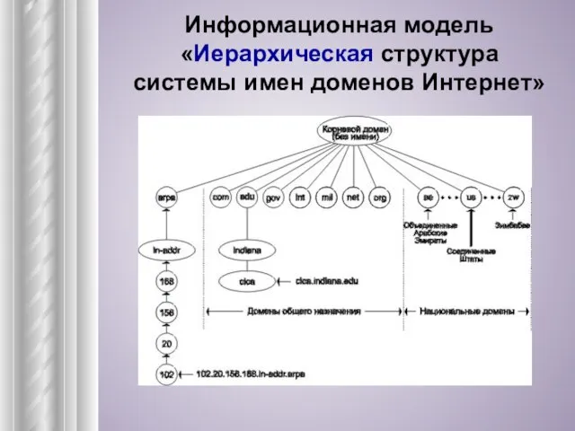 Информационная модель «Иерархическая структура системы имен доменов Интернет»