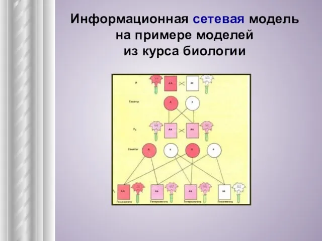 Информационная сетевая модель на примере моделей из курса биологии