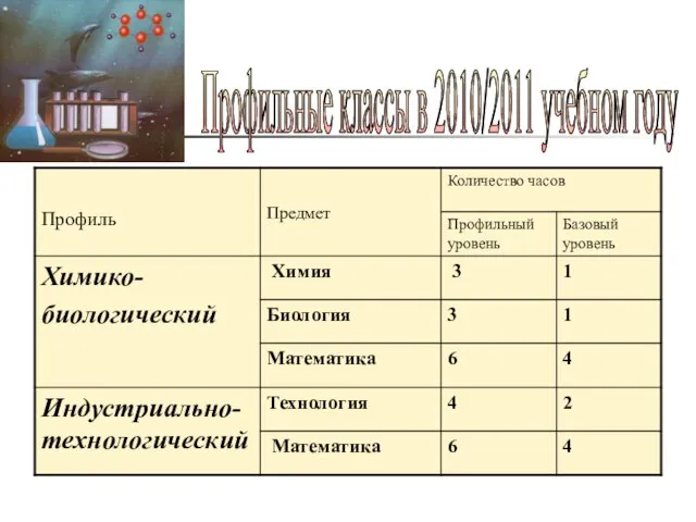 Профильные классы в 2010/2011 учебном году