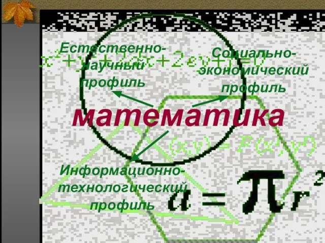 математика Социально-экономическийпрофиль Информационно-технологический профиль Естественно-научный профиль