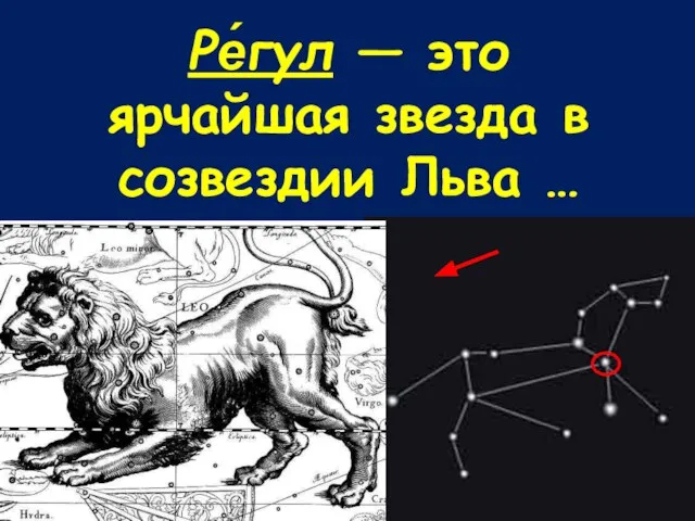 Ре́гул — это ярчайшая звезда в созвездии Льва …