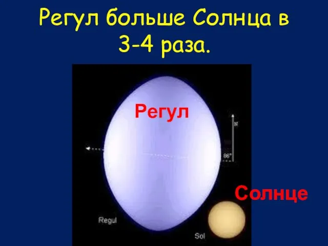 Солнце Регул больше Солнца в 3-4 раза.