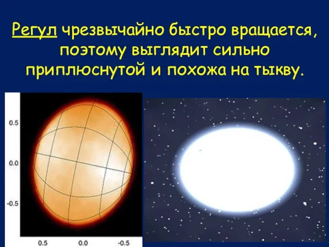 Регул чрезвычайно быстро вращается, поэтому выглядит сильно приплюснутой и похожа на тыкву.