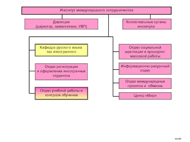 Институт международного сотрудничества Дирекция (директор, заместители, УВП) Коллегиальные органы института Кафедра русского
