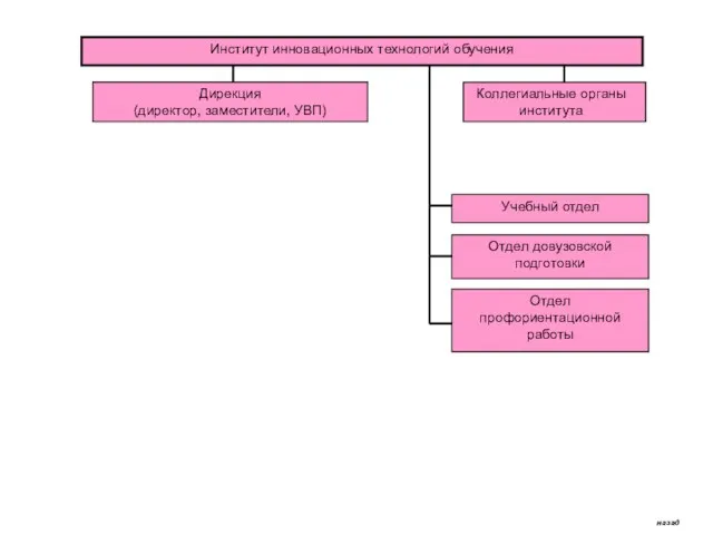 Институт инновационных технологий обучения Дирекция (директор, заместители, УВП) Коллегиальные органы института Учебный
