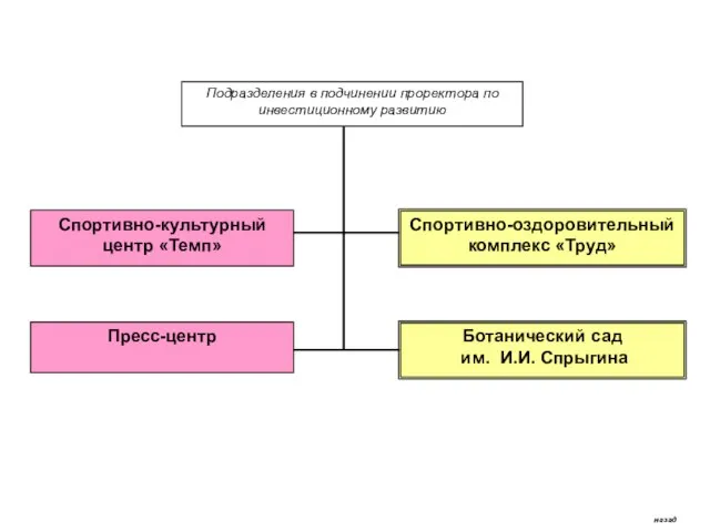 Подразделения в подчинении проректора по инвестиционному развитию Спортивно-культурный центр «Темп» Спортивно-оздоровительный комплекс