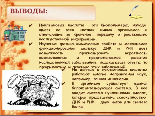 ВЫВОДЫ: Нуклеиновые кислоты – это биополимеры, находя­щиеся во всех клетках живых организмов