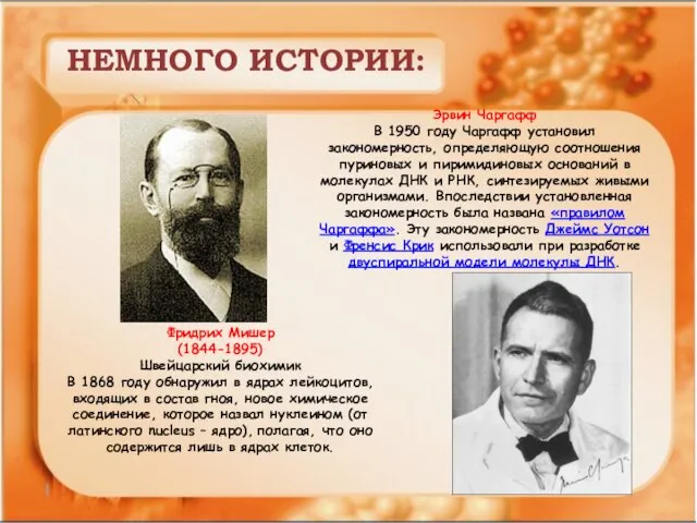 НЕМНОГО ИСТОРИИ: Фридрих Мишер (1844-1895) Швейцарский биохимик В 1868 году обнаружил в