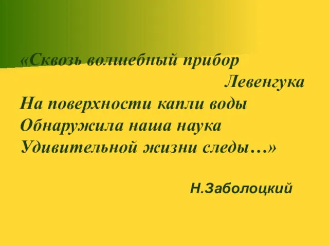 «Сквозь волшебный прибор Левенгука На поверхности капли воды Обнаружила наша наука Удивительной жизни следы…» Н.Заболоцкий