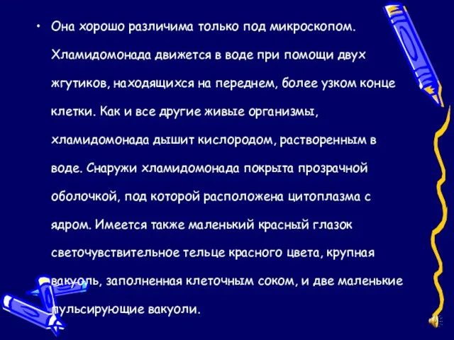 Она хорошо различима только под микроскопом. Хламидомонада движется в воде при помощи