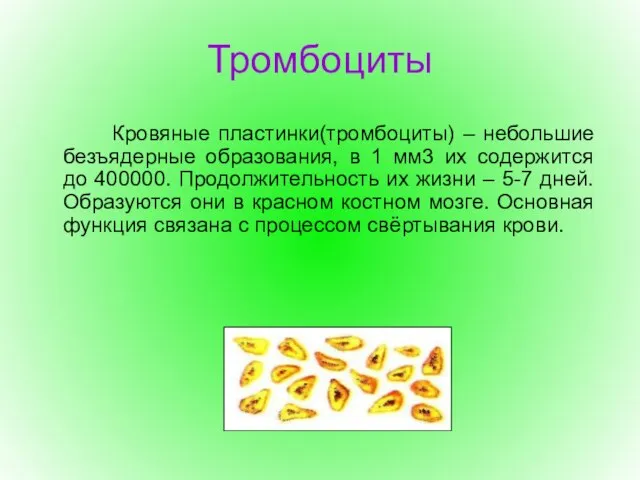 Тромбоциты Кровяные пластинки(тромбоциты) – небольшие безъядерные образования, в 1 мм3 их содержится