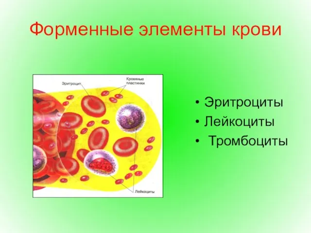 Форменные элементы крови Эритроциты Лейкоциты Тромбоциты