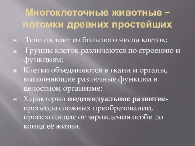 Многоклеточные животные – потомки древних простейших Тело состоит из большого числа клеток;