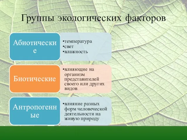 Группы экологических факторов Абиотические температура свет влажность Биотические влияющие на организм представителей