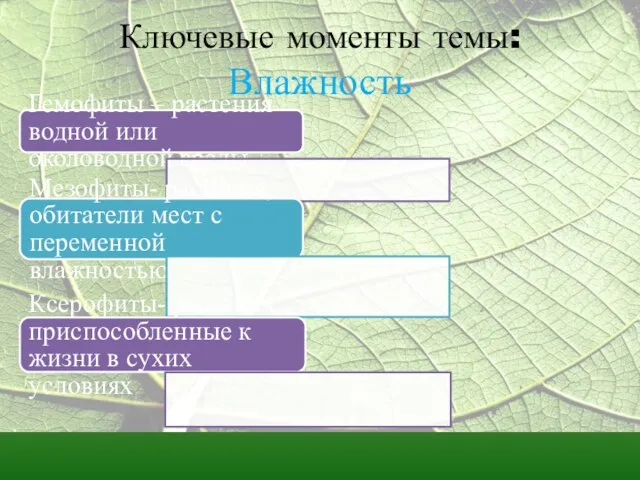 Ключевые моменты темы: Влажность Гемофиты – растения водной или околоводной среды Мезофиты-