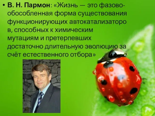 В. Н. Пармон: «Жизнь — это фазово-обособленная форма существования функционирующих автокатализаторов, способных