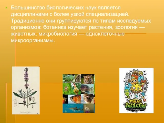 Большинство биологических наук является дисциплинами с более узкой специализацией. Традиционно они группируются