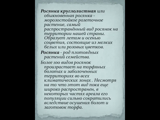 Росянка круглолистная или обыкновенная росянка - морозостойкое розеточное растение, самый распространённый вид